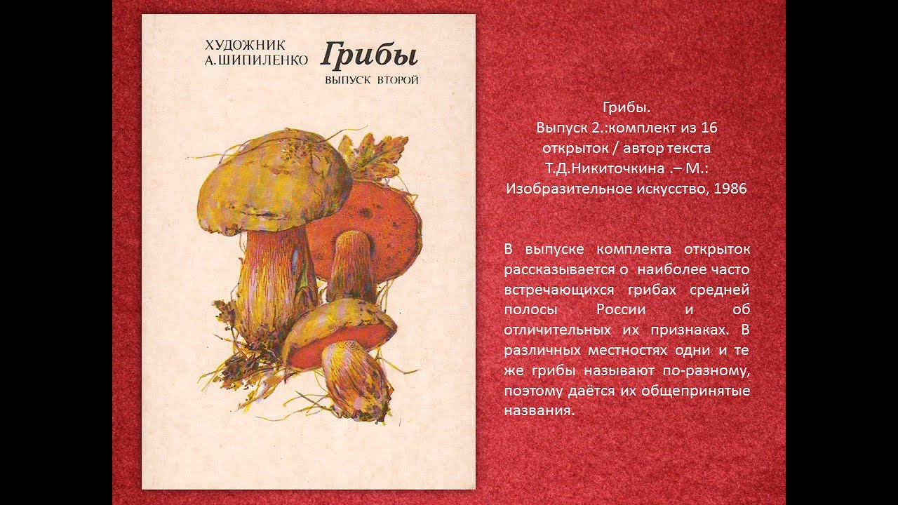 Осенняя коллекция смотреть онлайн