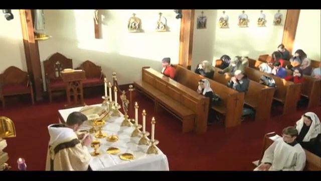 LITANY OF THE SAINT EWTN CHOIR TUE 29 11 2022 смотреть онлайн
