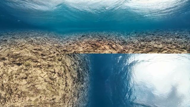 First Ever Kelly Slater Virtual Reality Surf Session смотреть онлайн