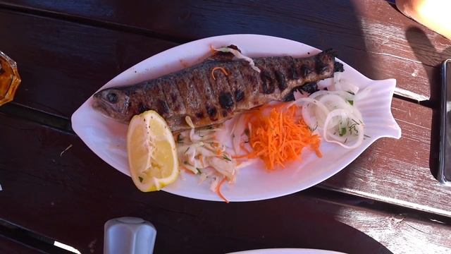 Теберда Рыбалка Форель Домбай Форелевое хозяйство Теберда отдых Рыбалка в Теберде Виктория влог смотреть онлайн