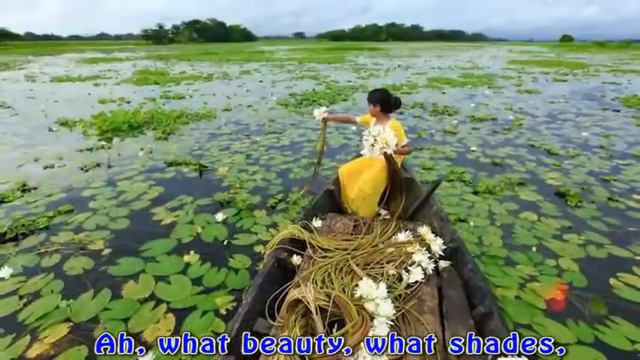 29 December 2020 смотреть онлайн