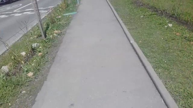 Москва и москвичи. Мы любим свой город! Сажаем цветы и деревья. смотреть онлайн