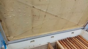 Самодельный пчелиный улей из старого холодильника