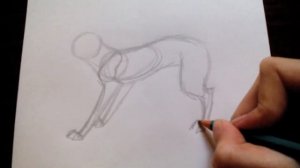 Уроки рисования №7 | Как нарисовать волка | Рисуем легко и просто | Волк | #17