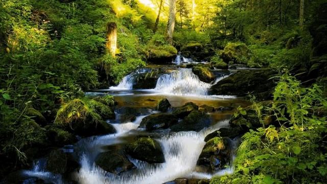 Живые водопады и прекрасная музыка смотреть онлайн