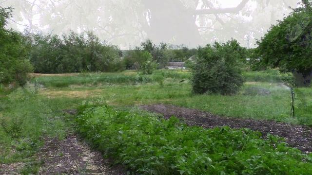 22_05_2021_с.ГОФИЦКОЕ_ранее утро.mp4 смотреть онлайн