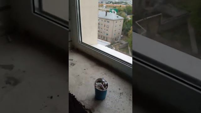 Лифт Плякина 1, 6 подъезд, г Саратов