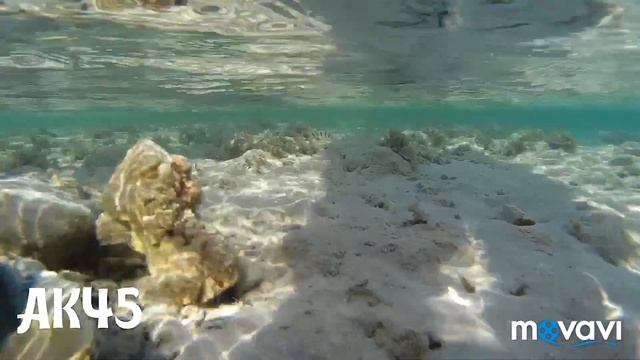 Охота на Морских змей в Египте смотреть онлайн