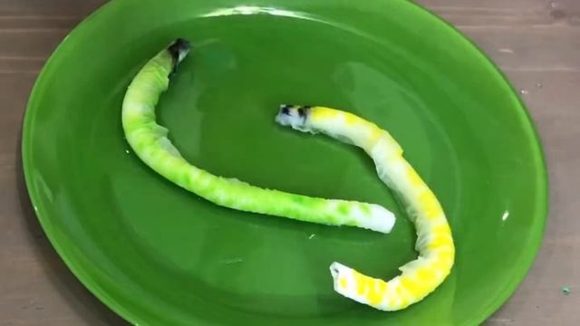 ИГРАЕМ С ДЕТЬМИ. Веселый опыт. Гусеницы ? ОНИ ЖИВЫЕ ? смотреть онлайн