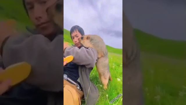юмор смотреть онлайн