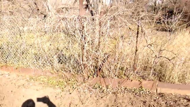 Купили дачу. Начало весенних работ. смотреть онлайн