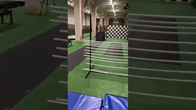 Безопорный прыжок. Спорт для прайтеров, питбулей, амстаффов, стаффи, малинуа, догов, доберманов смотреть онлайн