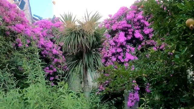 Сплит. Хорватия. Прогулка по городу и достопримечательности смотреть онлайн