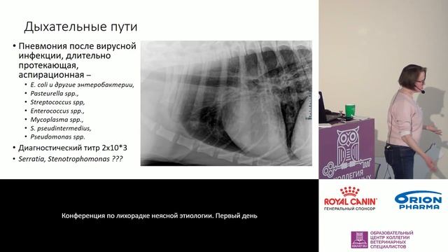 Лежнева Е. А. - Бактериальная инфекция по системам органов. смотреть онлайн