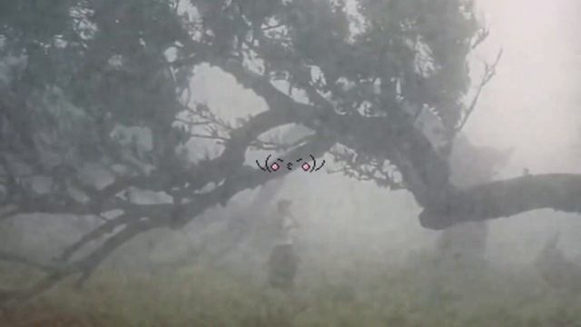 идеальное лицо смотреть онлайн