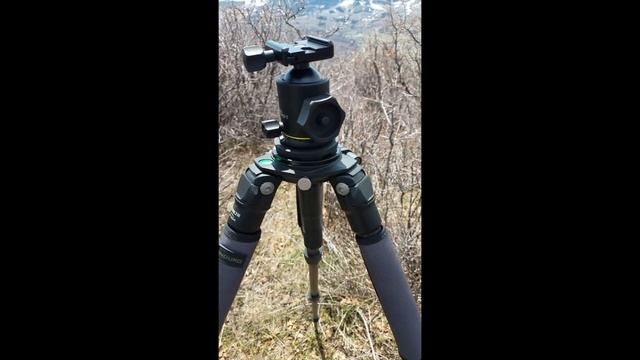 DJOP 4 Induro, GIT 204 and BHD1 and MLA23 review смотреть онлайн
