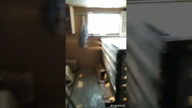 При заселении,случился петушиный бой. смотреть онлайн