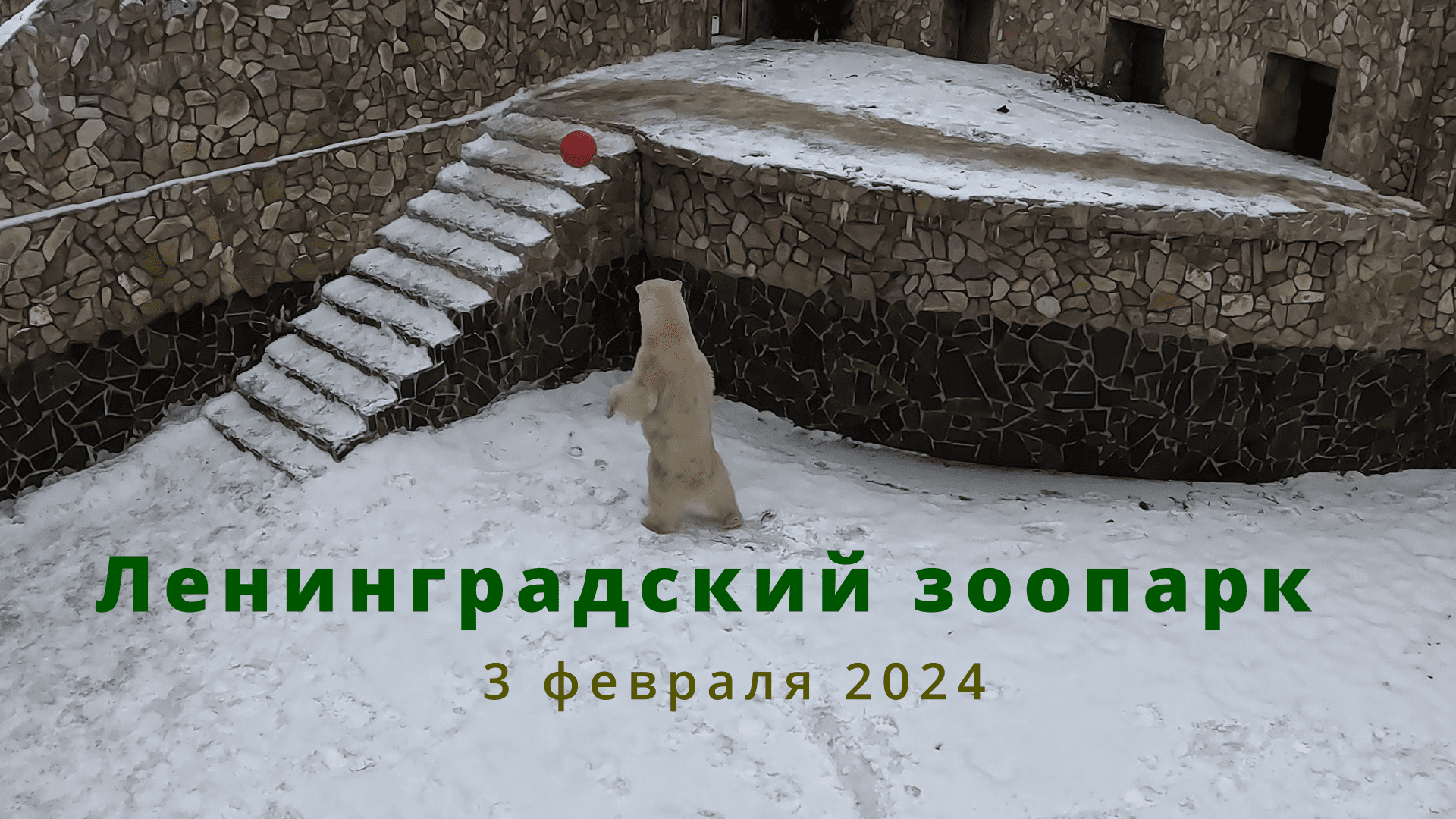 Прогулка по зоопарку смотреть онлайн