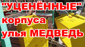 Уценённые корпуса для улья МЕДВЕДЬ с ОЗОН стоит ли брать !? 10 рамочный дадан ! Видео обзор улья