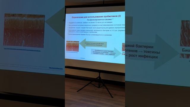 Ограничения для использования пробиотиков