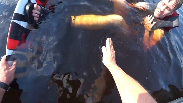 Вейкборд для начинающих, как научиться кататься. Wakeboard On A Boat