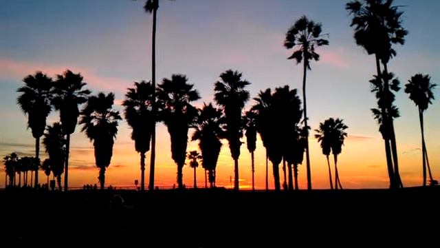 Piano player on Venice Boardwalk смотреть онлайн