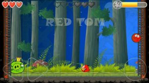 Red basket Ball & Angry bird Balls Fights The Big Piggy Boss.