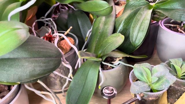 Просто соскучилась… ❤️🥰 смотреть онлайн