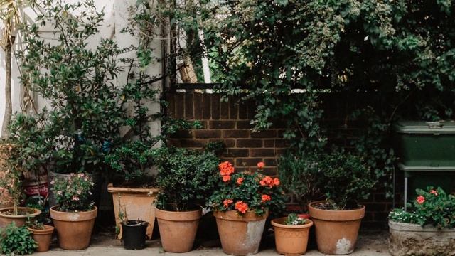 Красивая музыка, цветы, сады и парки | beautiful music, flowers, gardens and parks смотреть онлайн