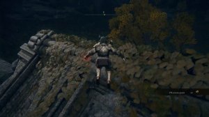 ELDEN RING. WALKING MAUSOLEUM, TOMBSWARD RUINS. Блуждающий мавзолей, Ведущие к гробнице развалины.