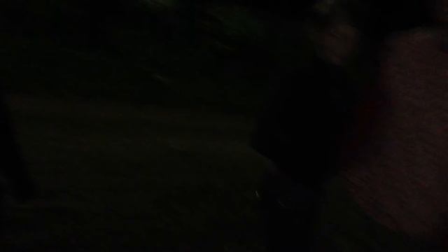 Пошла домой, есть суп