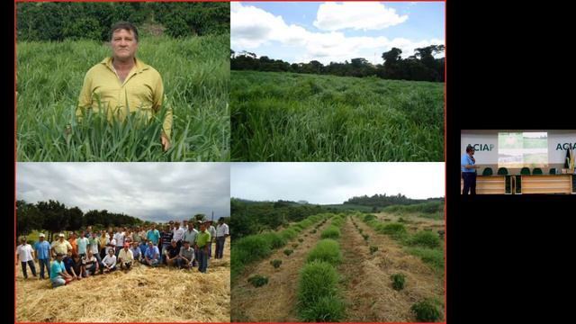 Semana Agronômica UniFatecie 2023 - Novas Cadeiras Produtivas do Noroeste do Paraná - Fruticultura смотреть онлайн