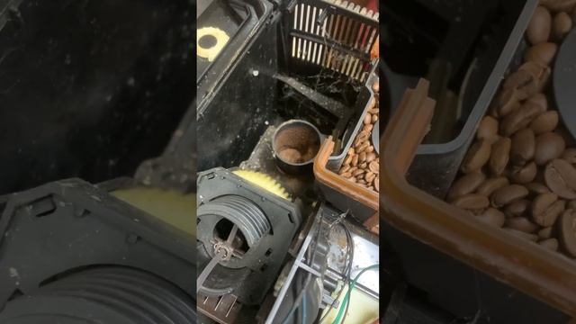 Jura c5 ошибка 8 #sochi #ремонткофемашин #coffeemachine #adler #phoenix #сочи смотреть онлайн