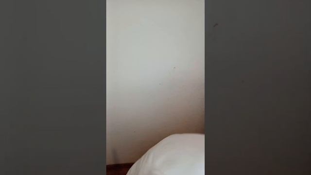 Пациент приходит к Урологу в надежде, что... #юмор #уролог смотреть онлайн