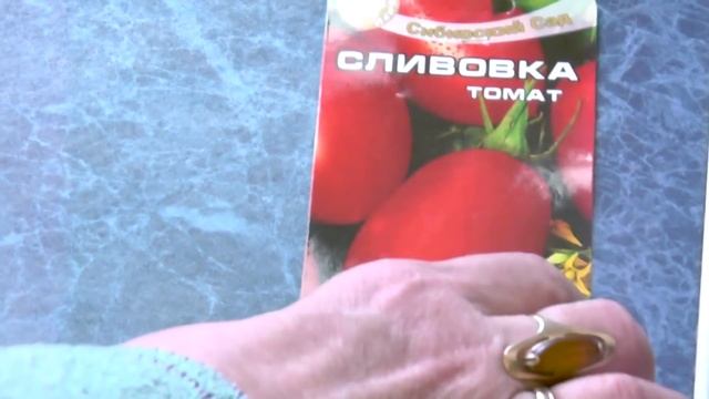 НИЗКОРОСЛЫЕ УЛЬТРАРАННИЕ ТОМАТЫ. ПОСАДИЛ И ЗАБЫЛ. ОБЗОР МОИ 40 СОРТОВ ПОМИДОРОВ ЧАСТЬ 2. смотреть онлайн