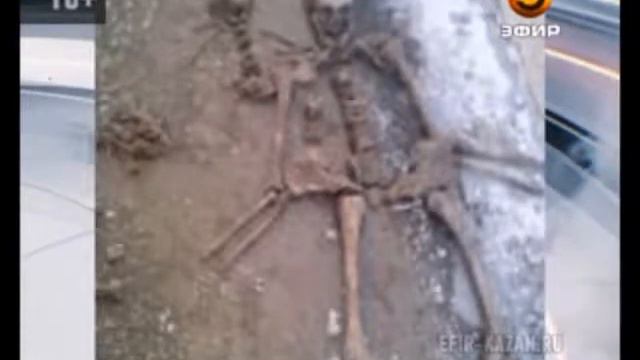 В центре Казани обнаружены останки людей и животных смотреть онлайн