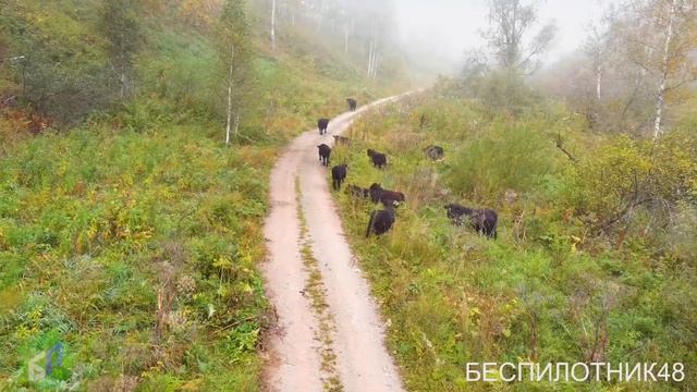 Чуйский тракт – 24 достопримечательности Алтая смотреть онлайн