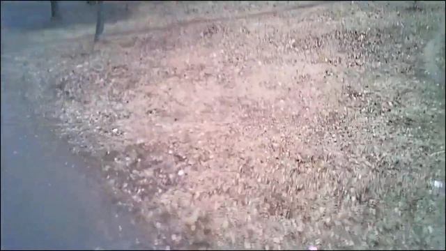 седьмой тест смотреть онлайн