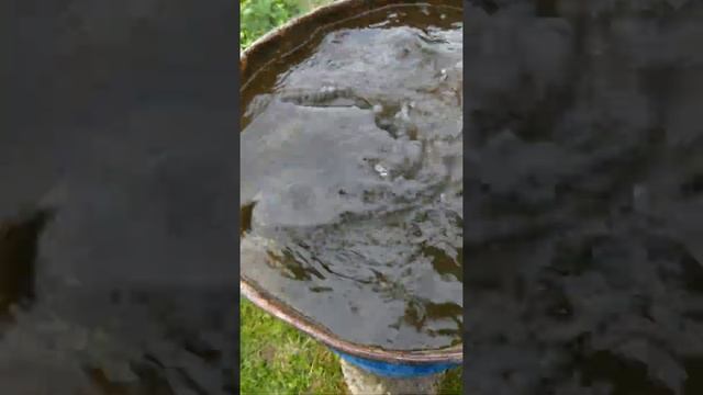 Квок новая пяткачасть 2испытание.