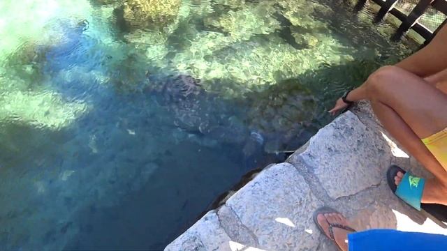 Каникулы в Мексике. Посетили парк Шкарет смотреть онлайн