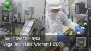 Линия мойки и очистки лука Vega Onion Line Avtomat Н1200 | Производственные линии
