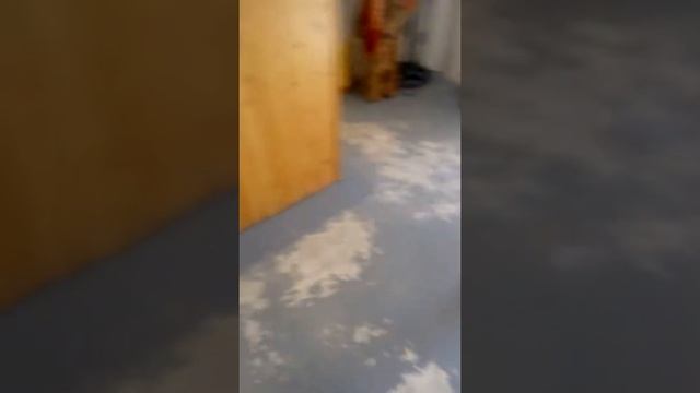 КИПР ,по дороге в Кикский монастырь. смотреть онлайн