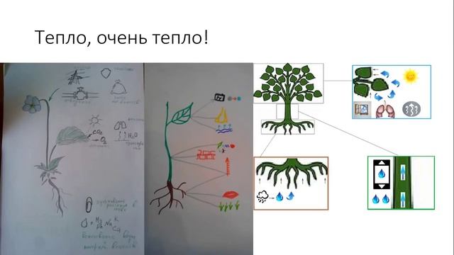 Обучение детей, методика Шаталова, опорные сигналы смотреть онлайн