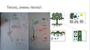 Обучение детей, методика Шаталова, опорные сигналы