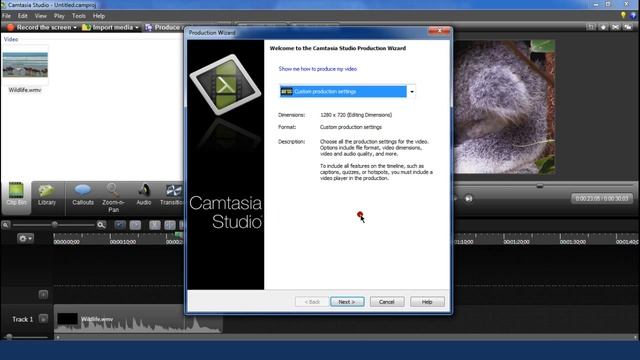 How to save Camtasia videos as mp4, mp3, AVI, WMV, GIF смотреть онлайн