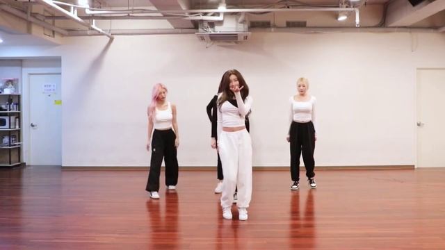 [DANCE MIRROR] MOMOLAND - Wrap Me In Plastic