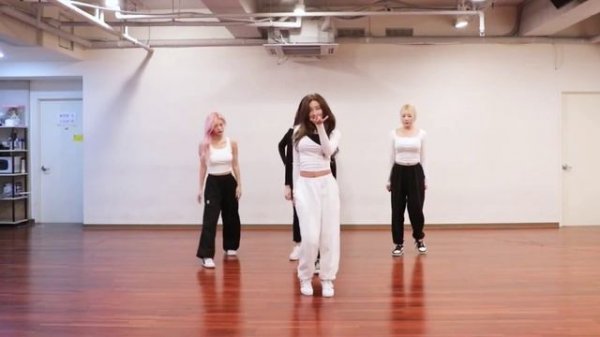 [DANCE MIRROR] MOMOLAND - Wrap Me In Plastic