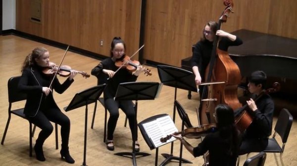 Mozart String Quintet- Eine kleine Nachtmusik K. 252