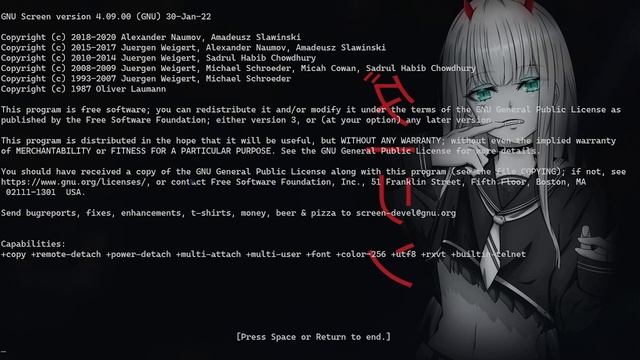 w4sp API & Bot Setup Tutorial ~ by lotus смотреть онлайн