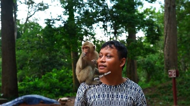 Tiny Rainbow Lucie Sina got fruit and milk to eat & drink ???????? смотреть онлайн